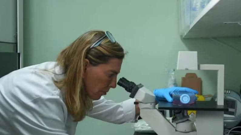 Pesquisadora admite falhas em estudo sobre polilaminina e anuncia revisão do artigo científico