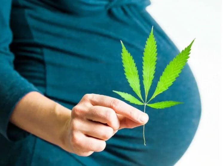 Aborto e maconha lideram rejeição moral entre brasileiros, diz pesquisa Real Time Big Data