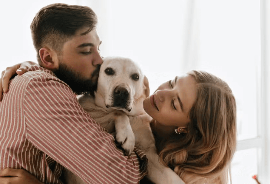 Entra em vigor lei que institui regras da guarda compartilhada de pets em caso de divórcio