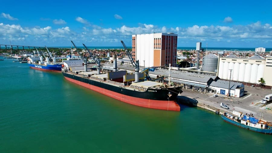Porto de Natal é autorizado a exportar animais vivos pelo Ministério da Agricultura