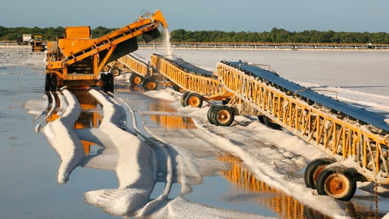 Tarifa dos EUA ameaça exportações de sal do RN e coloca 4 mil empregos em risco