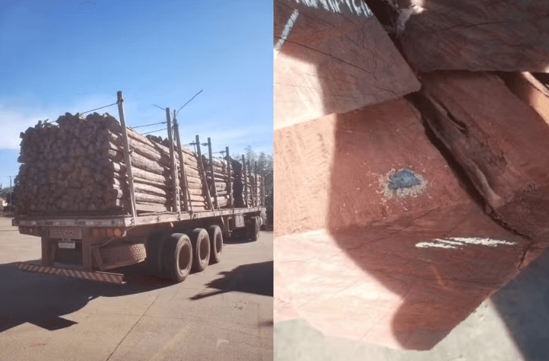 Laudo da PF descarta "maior apreensão de cocaína do Brasil" em carga de 260 toneladas de madeira