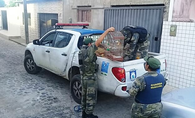 Guarda Municipal e Semurb resgatam aves silvestres no bairro de Nossa Senhora da Apresentação, em Natal
