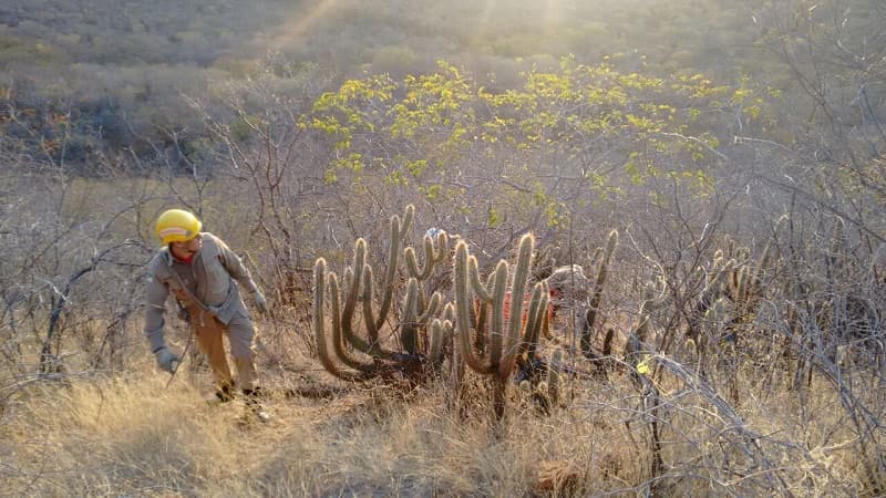 Bombeiros realizam buscas por homem desaparecido no Pico do Cabugi