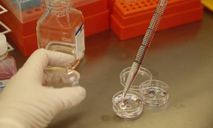 Óvulos de até 26 mulheres podem ter sido fecundados pelo esperma errado