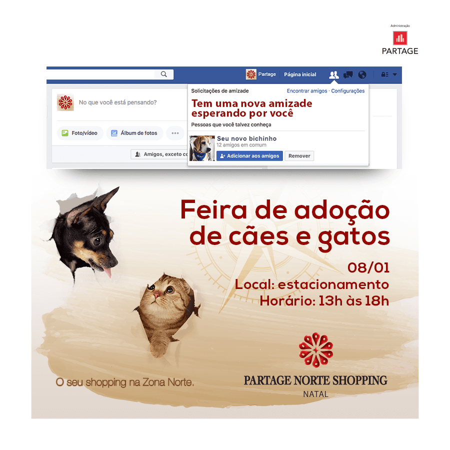Partage Norte Shopping realiza no domingo feira de adoção de cães e gatos