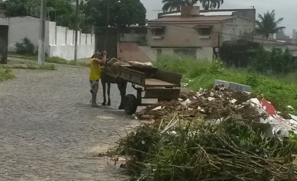 FOTOS: Carroceiro despeja entulho em terreno em Candelária
