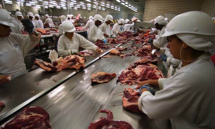 De carne estragada a uso de produtos cancerígenos: veja as irregularidades dos frigoríficos