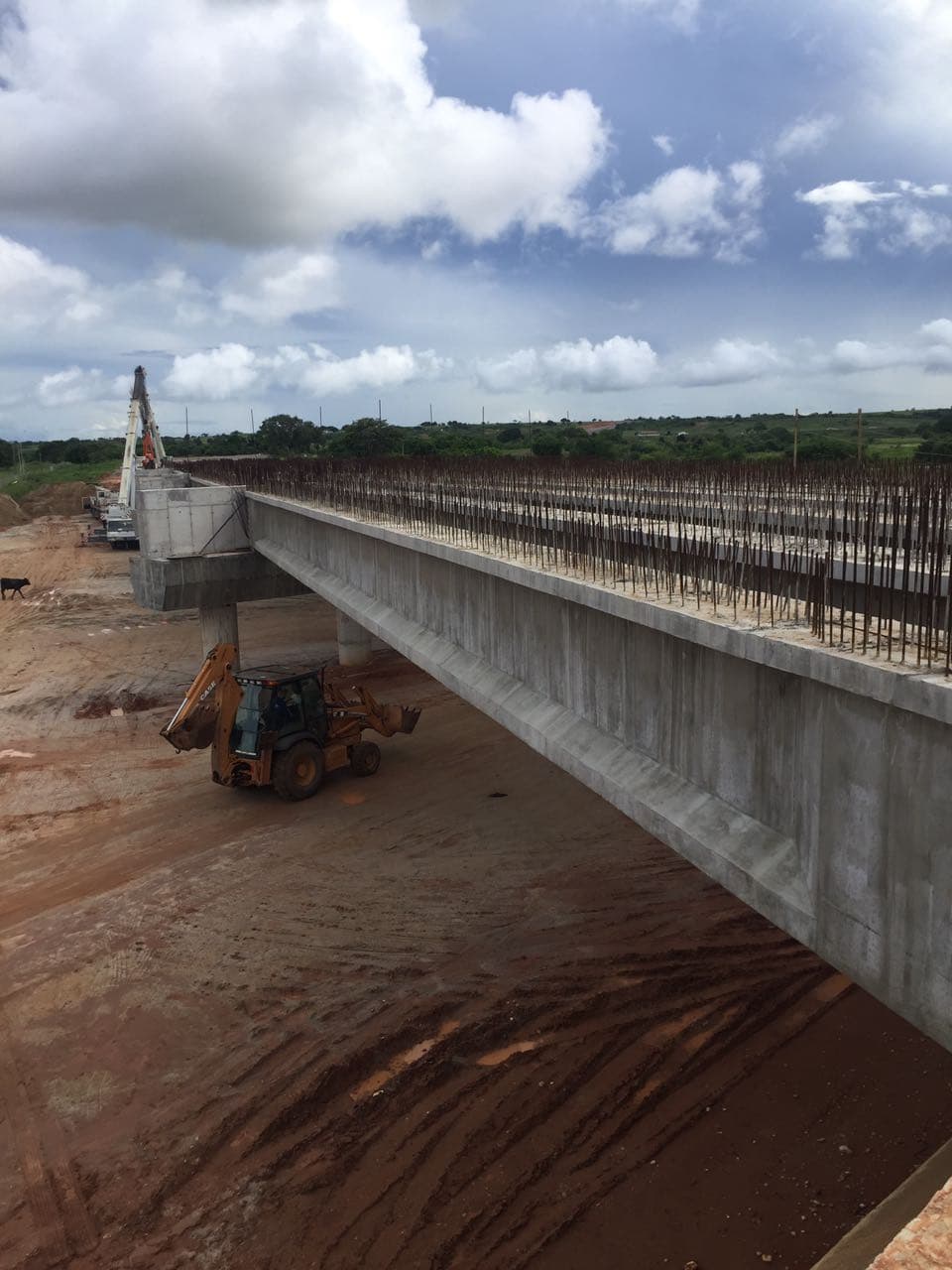 FOTOS: Terceira ponte sobre o Potengi tem vigas de sustentação implantadas