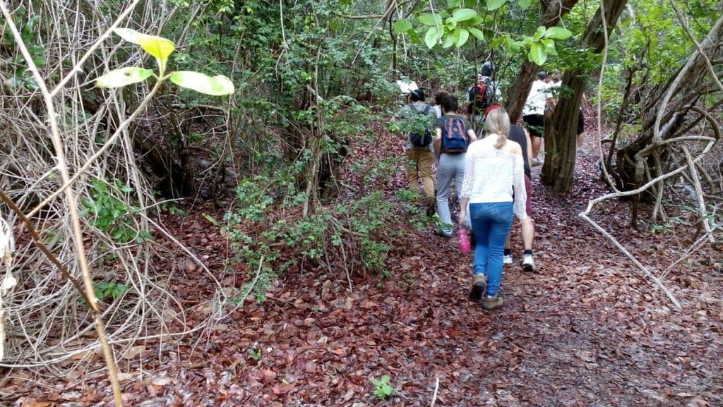 Parque das Dunas reabre nesta quarta-feira, diz Idema