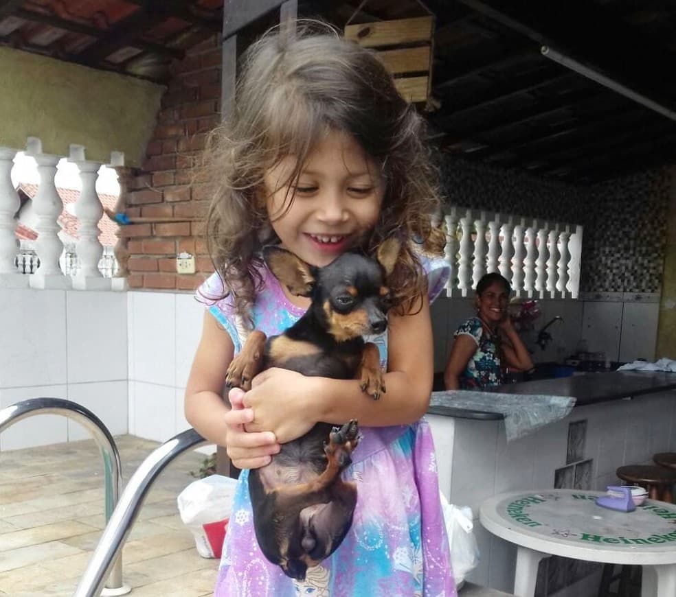 Mulher devolve cadela que furtou de família após vídeo da ação viralizar na web: ‘Ficou com medo'