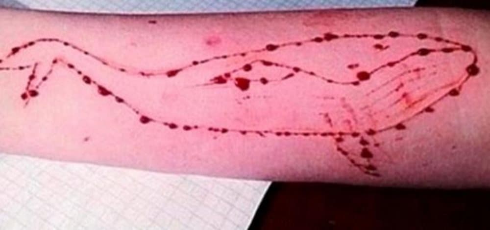 ALERTA: Veja quais são os 50 desafios de ‘Baleia Azul’, o Jogo do Suicídio