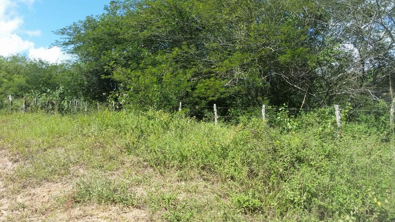 FOTOS: Prefeitura de São Gonçalo do Amarante define área para instalação de Polo Tecnológico