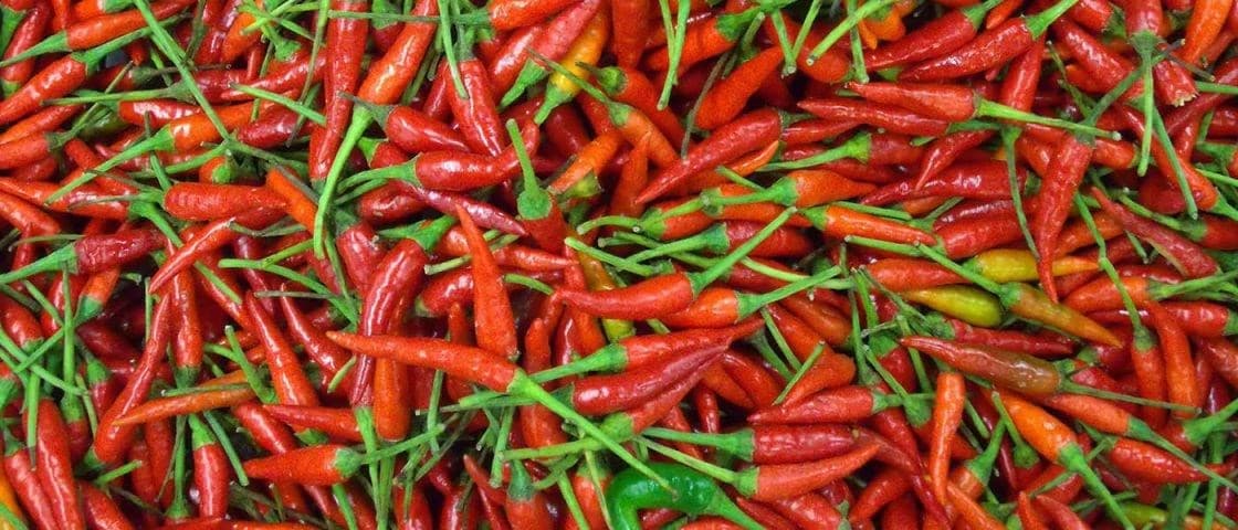 Substância presente na maconha e na pimenta pode controlar diabetes