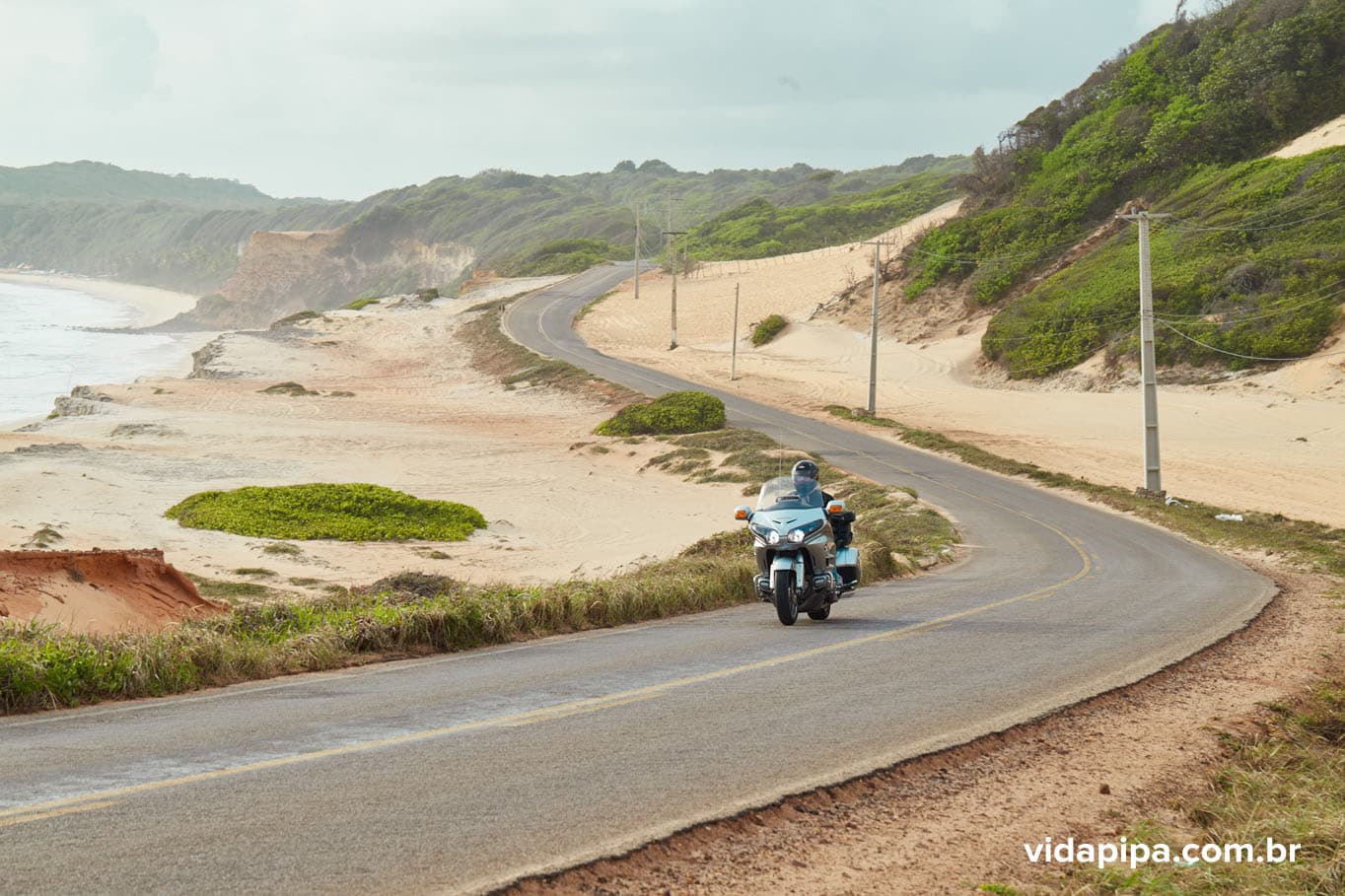 VIDA PIPA: O que você espera da vida? Vamos viver um pouco mais?