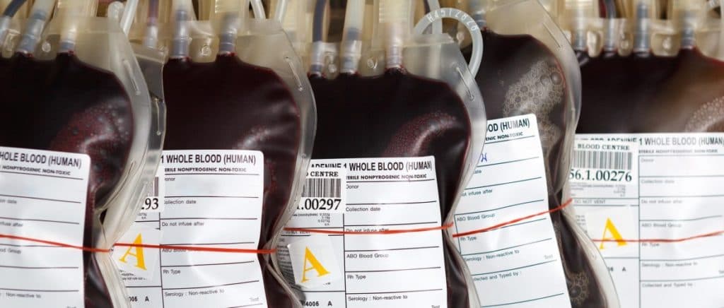 Sangue artificial em pó poderá ser usado em transfusões na próxima década