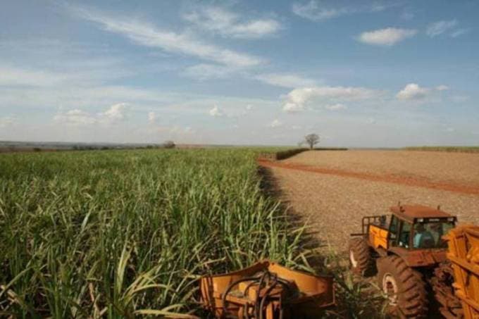 Governo finaliza projeto que libera venda de terra a estrangeiros
