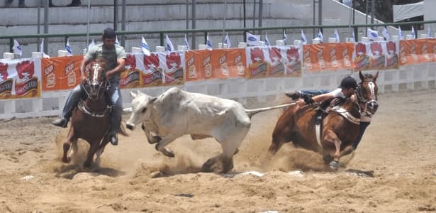 Por que a vaquejada foi proibida se o rodeio é permitido?