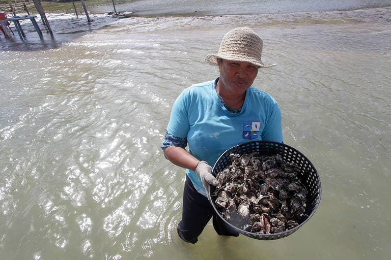 Passeio e pescar marisco em Tibau do Sul vira destaque na Folha de SP