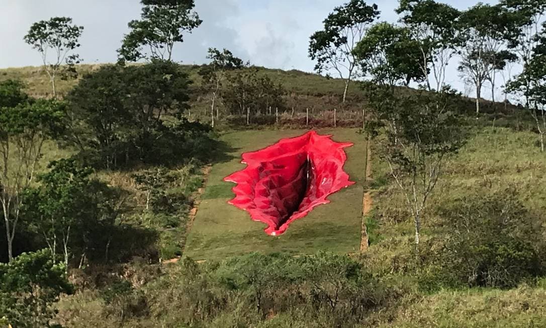 ‘Ela abriu feridas profundas', diz criadora de ‘vulva gigante' em parque de Pernambuco