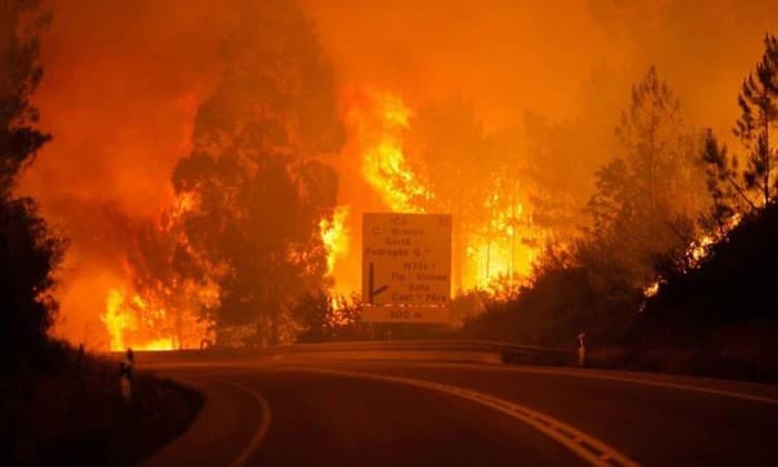 FOTOS: Incêndio florestal se alastra e mata ao menos 57 pessoas em Portugal