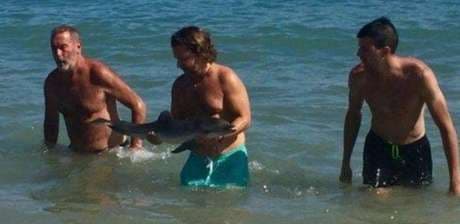 Golfinho retirado do mar por banhistas para fotografias morre na Espanha