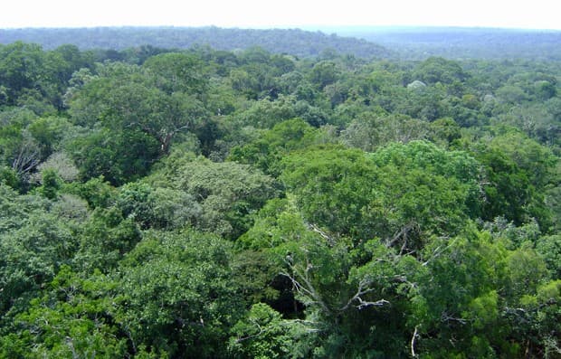 Governo Temer recua e suspende por 120 dias mineração em área da Amazônia
